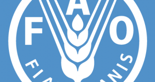 FAO
