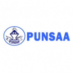 Puntland Non-State Actors Association (PUNSAA)