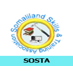 Somaliland Skills Training Association (SOSTA)