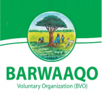 Barwaaqo Voluntary Organization (BVO)