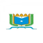 Dawladda Hoose Degmada Galkacayo