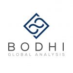 Bodhi Global Analysis