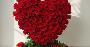 100 erayo jaceyl lamaanaha