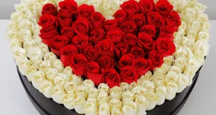 Erayo Naxariis Badan