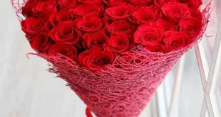 erayo jaceyl saaxibta