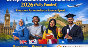 Deeqo Waxbarasho oo Bilaash ah 2026 (Fully Funded) – Fursado u Furan Ardayda Soomaaliyeed