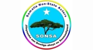 Somalia Non-State Actors (SONSA)